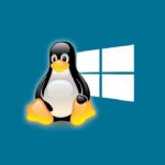 Windows and Linux