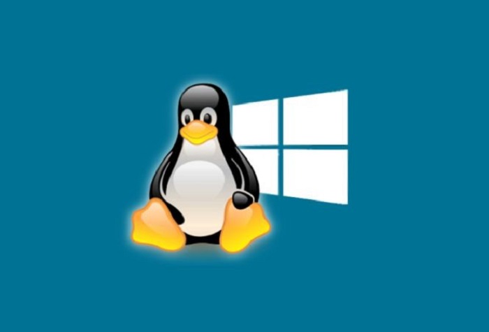 Windows and Linux