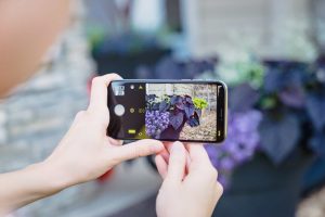 camera apps