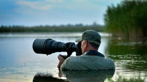 Wildlife Photography