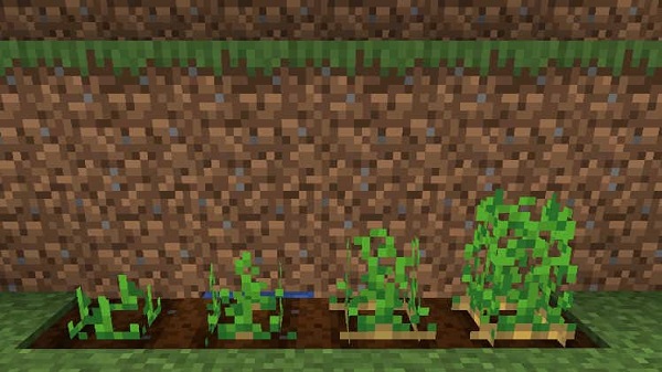 How do you get potatoes in minecraft