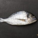 How to tell if fish is bad