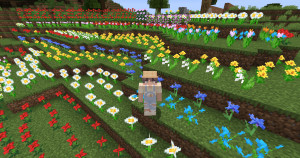 Garden Center