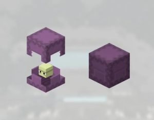 crafting Shulker Boxes