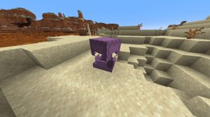 Break the Shulker Box